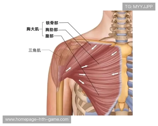 手臂三角：用肩膀勒颈，手臂的三角肌是哪个部位